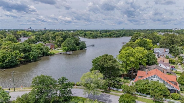1608 Holland Ave, Norfolk, VA 23509 - bird's eye view of a large body of water