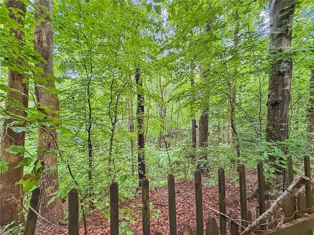 105 Stavenger Ct, Williamsburg, VA 23188 - view of tree filled area