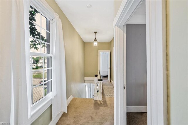 3317 Montana Ave, Norfolk, VA 23513 - hallway with carpet and baseboards