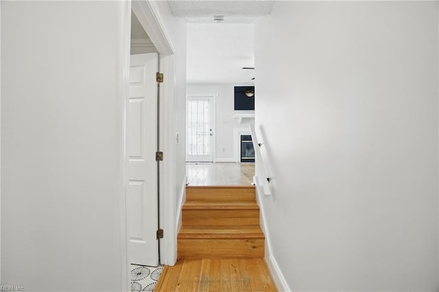 6223 Rolfe Ave, Norfolk, VA 23508 - hall featuring baseboards, light wood finished floors, and stairway