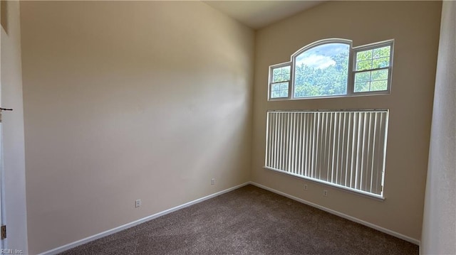 2019 River Pearl Way, Chesapeake, VA 23321 - spare room featuring carpet and baseboards