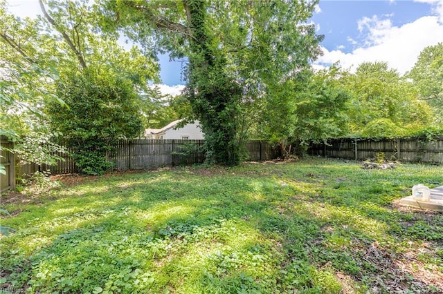 429 Draper Dr, Norfolk, VA 23505 - view of yard