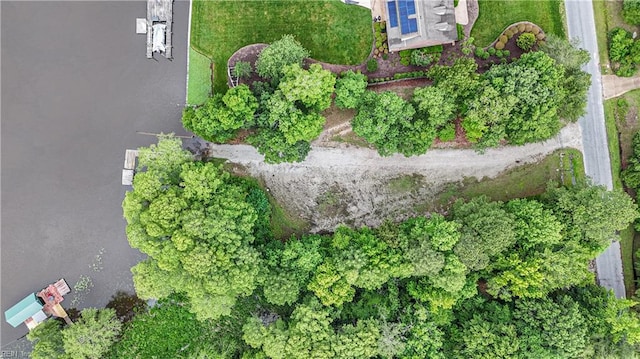 201 Colony Trl, Lanexa, VA 23089 - aerial view of property and surrounding area