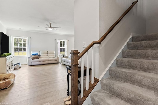 110 Georgia Dr, Elizabeth City, NC 27909 - staircase with a ceiling fan, wood finished floors, and ornamental molding