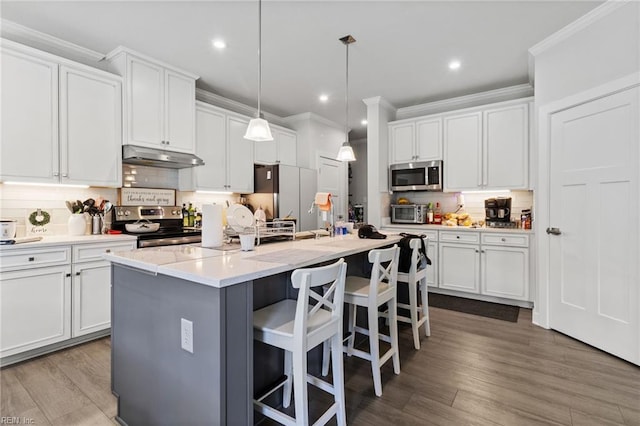110 Georgia Dr, Elizabeth City, NC 27909 - kitchen with stainless steel appliances, under cabinet range hood, crown molding, tasteful backsplash, and white cabinetry
