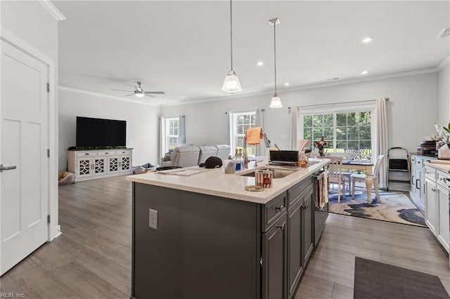 110 Georgia Dr, Elizabeth City, NC 27909 - kitchen with crown molding, healthy amount of natural light, an island with sink, wood finished floors, and recessed lighting