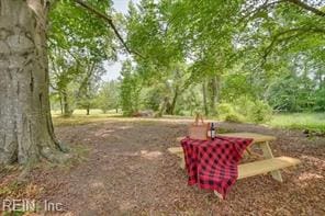 337 Juniper Cove Ln, Bohannon, VA 23021 - view of community