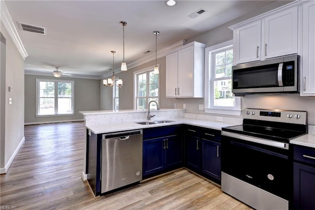 3545 Amberley Way, Williamsburg, VA 23188 - kitchen featuring appliances with stainless steel finishes, a sink, healthy amount of natural light, and ornamental molding