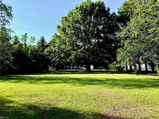 3124 Douglas Rd, Chesapeake, VA 23322 - view of grassy yard