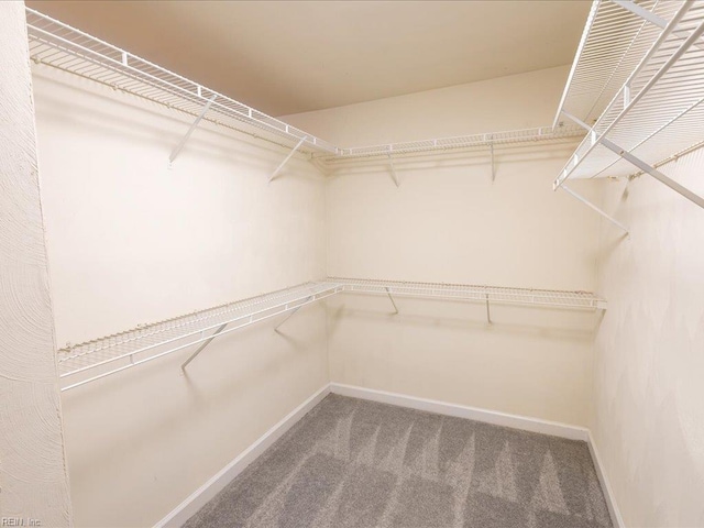 4604 Bellamy Ct, Virginia Beach, VA 23462 - spacious closet featuring carpet floors