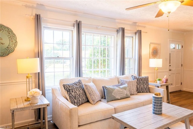 4505 Hessian Ct, Virginia Beach, VA 23462 - living room featuring healthy amount of natural light, crown molding, a textured ceiling, a ceiling fan, and wood finished floors