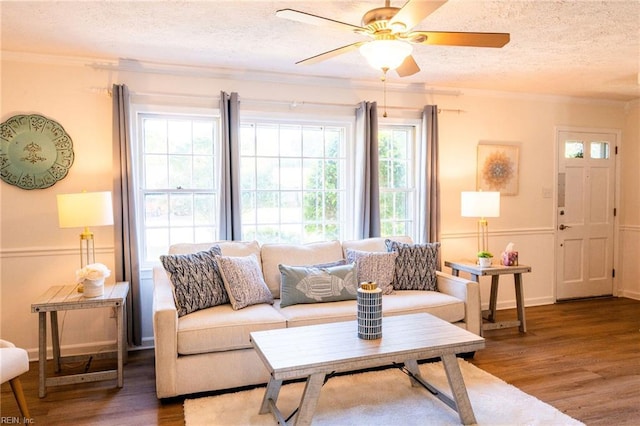 4505 Hessian Ct, Virginia Beach, VA 23462 - living area featuring wood finished floors, a textured ceiling, ornamental molding, ceiling fan, and baseboards