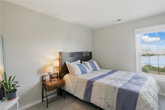 1765 Unicorn Dr, Virginia Beach, VA 23454 - bedroom with carpet, baseboards, multiple windows, and a water view