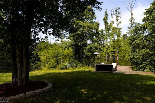14387 Tucker Swamp Rd, Zuni, VA 23898 - view of grassy yard
