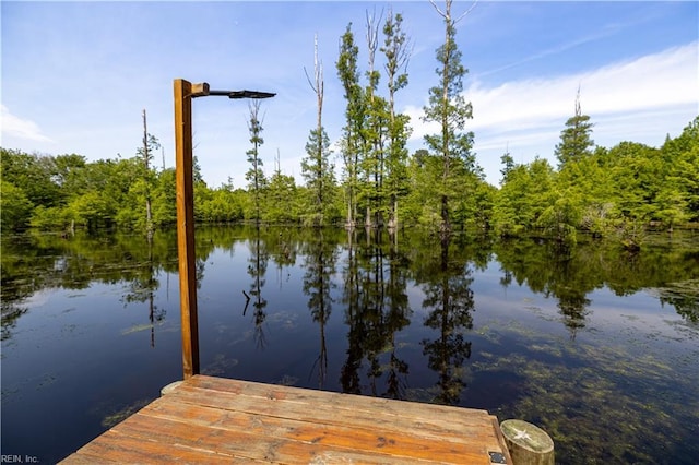 14387 Tucker Swamp Rd, Zuni, VA 23898 - dock area with a water view and a forest view
