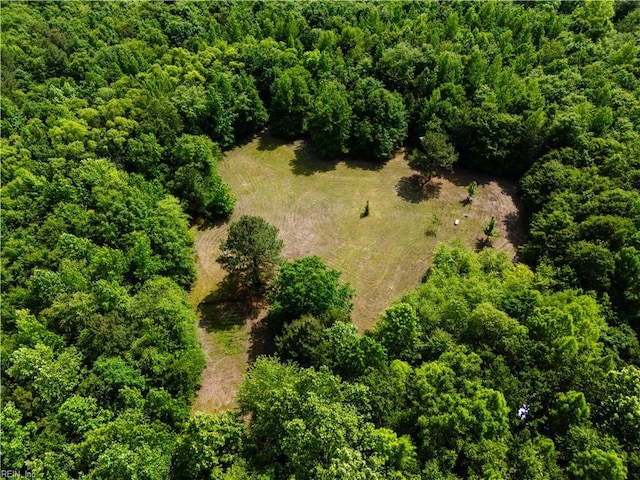 14387 Tucker Swamp Rd, Zuni, VA 23898 - aerial view of property's location