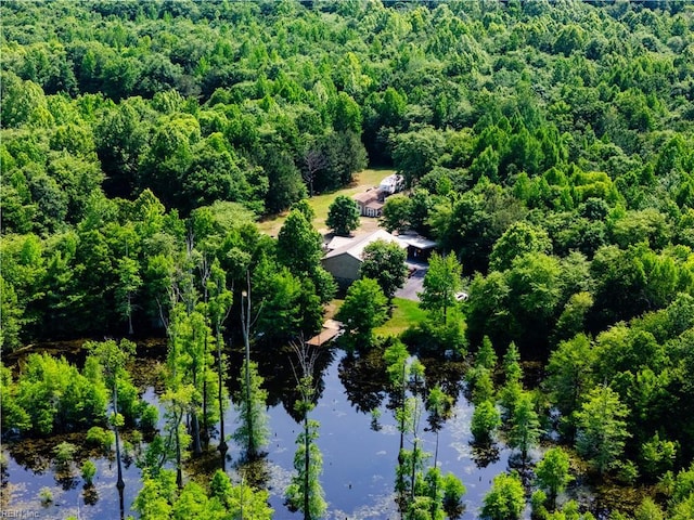 14387 Tucker Swamp Rd, Zuni, VA 23898 - view from above of property featuring a heavily wooded area and a nearby body of water
