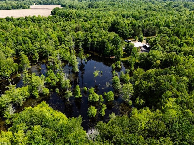 14387 Tucker Swamp Rd, Zuni, VA 23898 - drone / aerial view of a forest and a nearby body of water