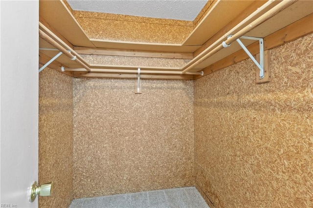 4321 Moosewood Ct, Virginia Beach, VA 23462 - view of walk in closet