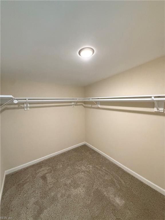 2218 Andrews Blvd, Hampton, VA 23663 - spacious closet with carpet flooring