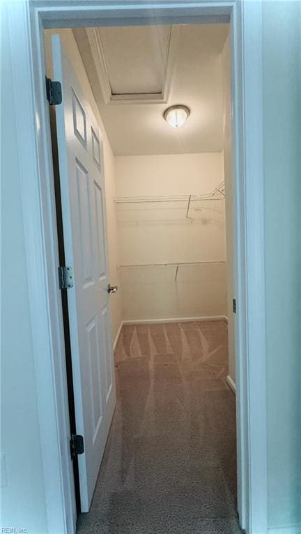 1107 Halton Ln, Chesapeake, VA 23320 - corridor with carpet floors