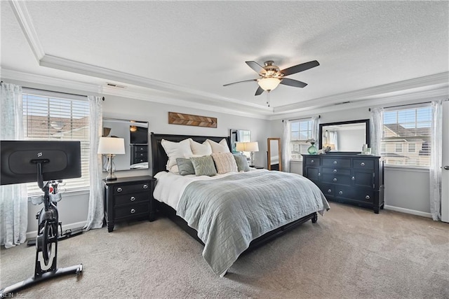 5520 White Swallow Way, Chesapeake, VA 23321 - bedroom with a tray ceiling, ornamental molding, light carpet, baseboards, and a textured ceiling