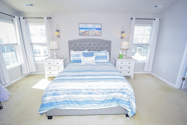 205 Markham St, Suffolk, VA 23435 - bedroom with light carpet, baseboards, and multiple windows