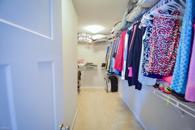 205 Markham St, Suffolk, VA 23435 - walk in closet featuring carpet flooring