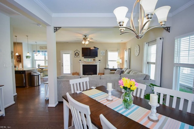 205 Markham St, Suffolk, VA 23435 - dining area featuring a fireplace, dark wood finished floors, crown molding, ceiling fan, and a chandelier
