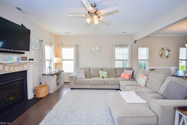 205 Markham St, Suffolk, VA 23435 - living room featuring dark wood-style floors, healthy amount of natural light, a ceiling fan, and a fireplace with raised hearth