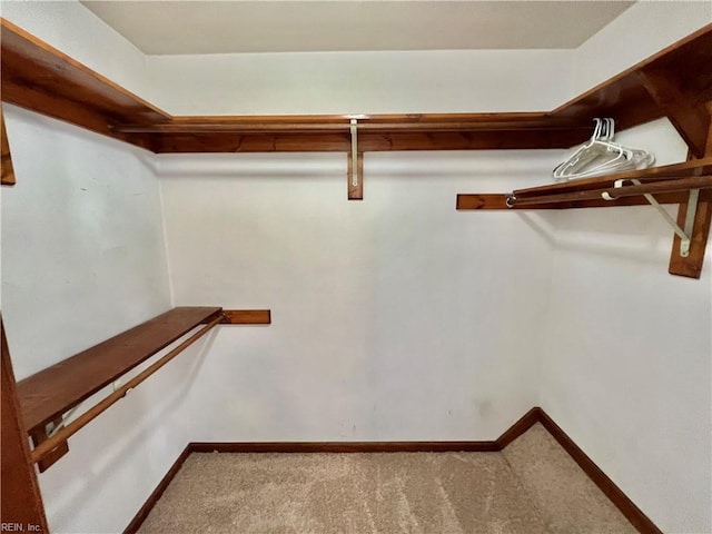 728 S Lake Cir, Chesapeake, VA 23322 - walk in closet with carpet floors
