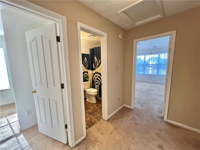 728 S Lake Cir, Chesapeake, VA 23322 - corridor featuring light carpet, attic access, and baseboards
