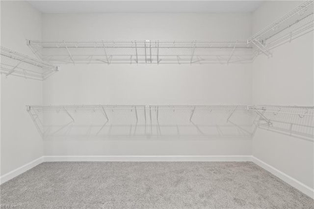 143 Highland Pony Dr, Hertford, NC 27944 - walk in closet featuring carpet floors