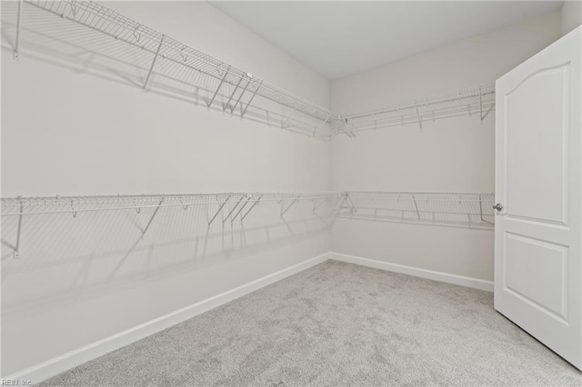 143 Highland Pony Dr, Hertford, NC 27944 - walk in closet featuring carpet floors