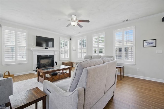 1200 Althea Ct, Chesapeake, VA 23322 - living room with ceiling fan, ornamental molding, wood finished floors, baseboards, and a glass covered fireplace