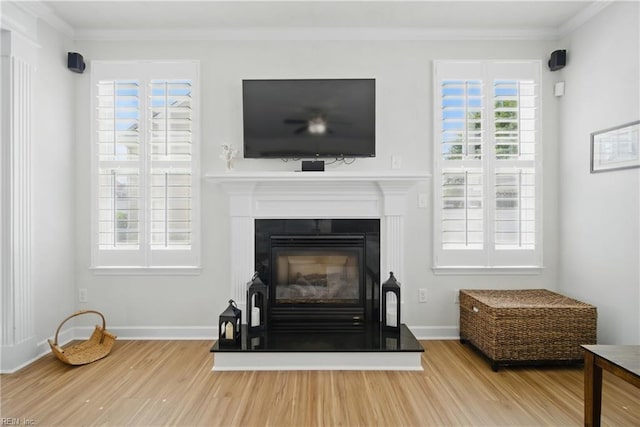 1200 Althea Ct, Chesapeake, VA 23322 - detailed view of wood finished floors, crown molding, a glass covered fireplace, and baseboards