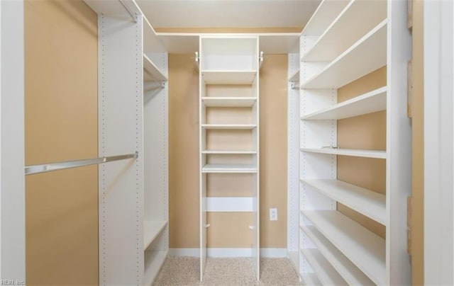249 W Freemason St Unit 405, Norfolk, VA 23510 - view of walk in closet