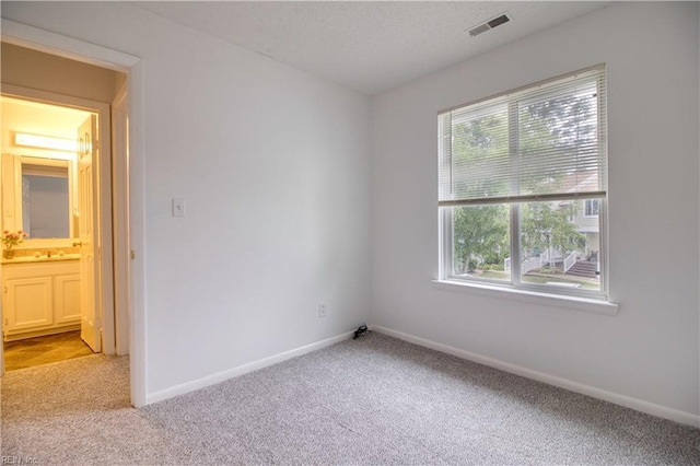 2574 Cove Point Pl, Virginia Beach, VA 23454 - unfurnished room with healthy amount of natural light, light carpet, baseboards, and a sink