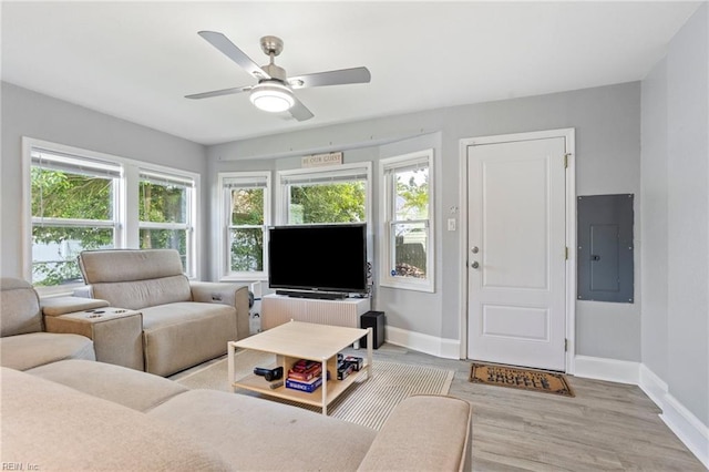 3607 Lafayette Blvd, Norfolk, VA 23513 - living room with electric panel, baseboards, and healthy amount of natural light