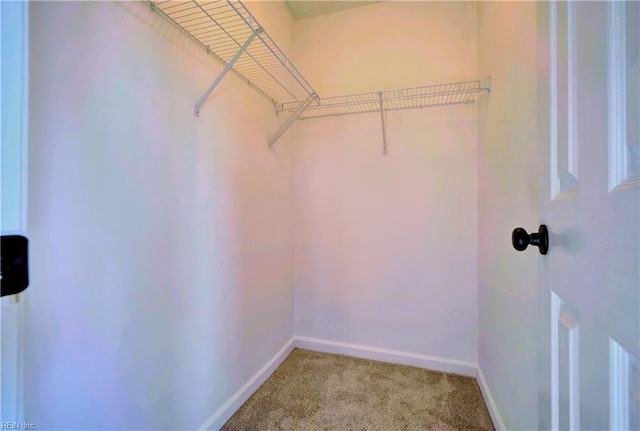 100 Langston Ct, Franklin, VA 23851 - walk in closet featuring light colored carpet