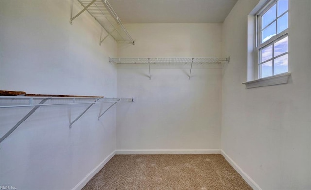 100 Langston Ct, Franklin, VA 23851 - spacious closet featuring light carpet