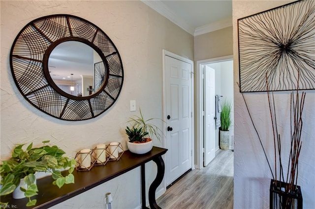 231 Sykes Ave Unit 231, Virginia Beach, VA 23454 - entryway with wood finished floors, ornamental molding, and a textured wall