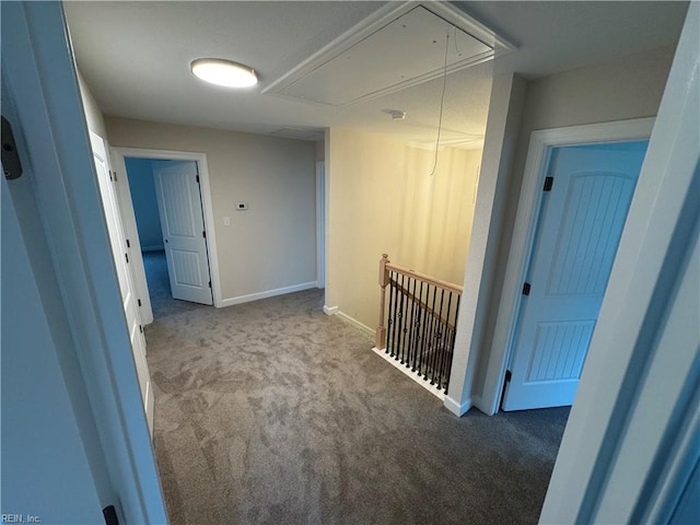 172 Honaker Ave, Norfolk, VA 23502 - hallway with attic access, carpet flooring, baseboards, and an upstairs landing