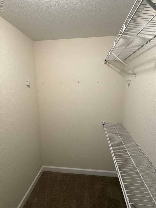 172 Honaker Ave, Norfolk, VA 23502 - walk in closet with carpet flooring