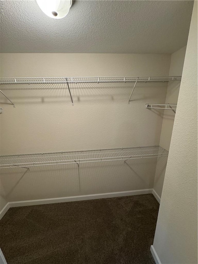 172 Honaker Ave, Norfolk, VA 23502 - walk in closet with carpet floors