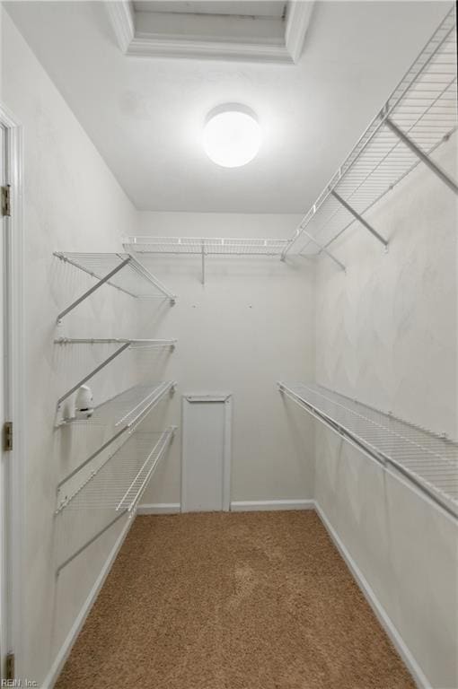 9489 Mooring Dr, Norfolk, VA 23518 - spacious closet with carpet flooring