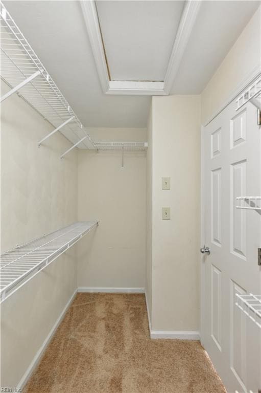 9489 Mooring Dr, Norfolk, VA 23518 - walk in closet with carpet floors and attic access