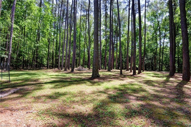 2944 Ridge Rd, Cobbs Creek, VA 23035 - view of grassy yard featuring a view of trees