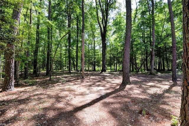 2944 Ridge Rd, Cobbs Creek, VA 23035 - view of woods