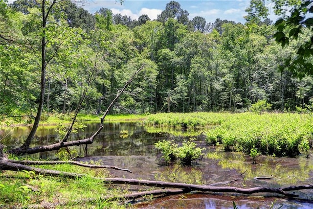 2944 Ridge Rd, Cobbs Creek, VA 23035 - view of woods